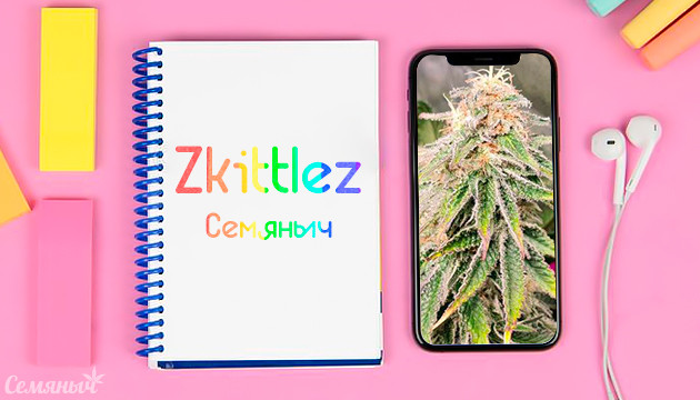 Гроурепорт сорта Zkittlez