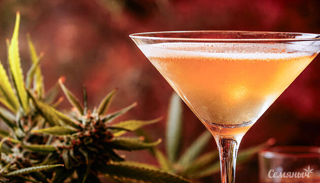 Напитки с каннабисом – новая альтернатива алкоголю