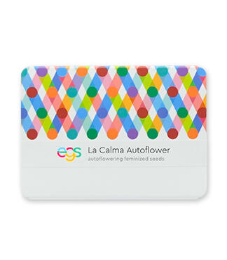 La Calma Autoflower fem (Easy Grow Seeds)